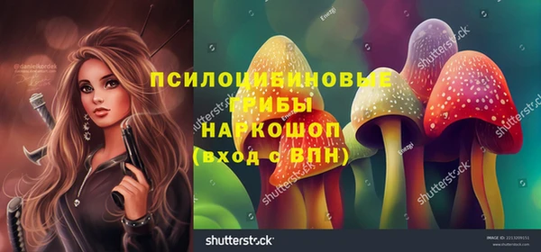 МДПВ Кинешма