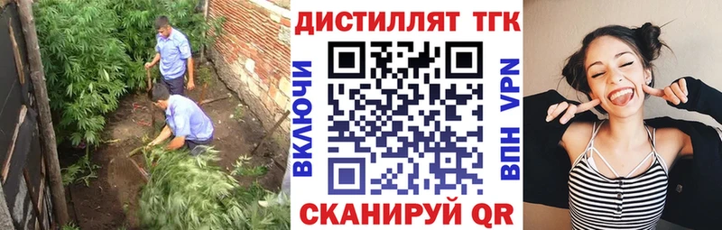 Дистиллят ТГК Wax  Кирсанов 