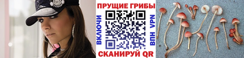 Галлюциногенные грибы мицелий  мега ССЫЛКА  Кирсанов  где продают наркотики 