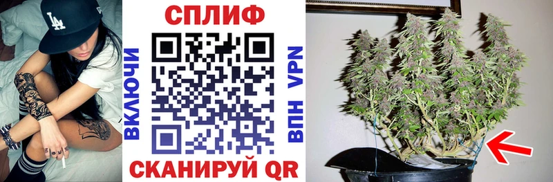 блэк спрут онион  как найти   Кирсанов  Бошки марихуана семена 